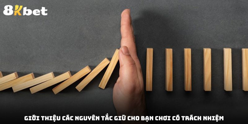 Giới thiệu các nguyên tắc giữ cho bạn chơi có trách nhiệm