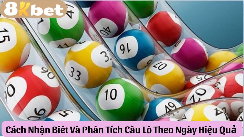 cach-nhan-biet-va-phan-tich-cau-lo-theo-ngay-hieu-qua