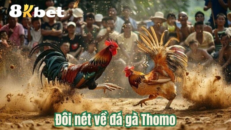 doi-net-ve-da-ga-thomo