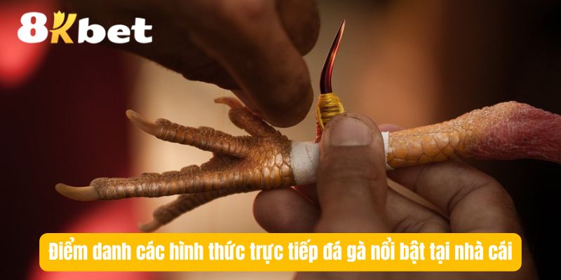 hinh-thuc-truc-tiep-da-ga-tai-nha-cai